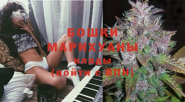 сатива Коряжма