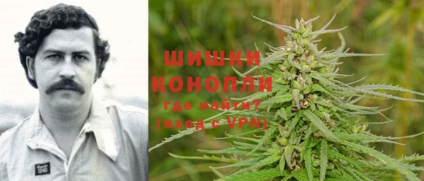 сатива Коряжма